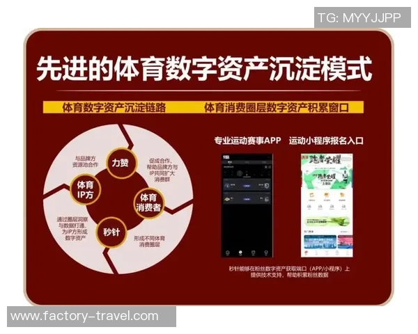 深入解析足球比赛数据与战术策略的影响因素与趋势分析